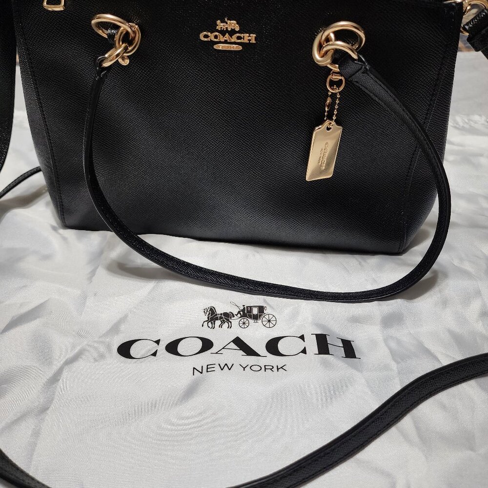 COACH ETTA Carryall bag